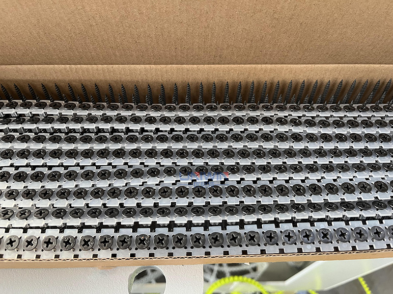 collated drywall screw